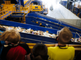 Recycling Center Tourists Watching Conveyor Belt Sort Recyclables